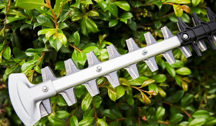 Swisse steel blades